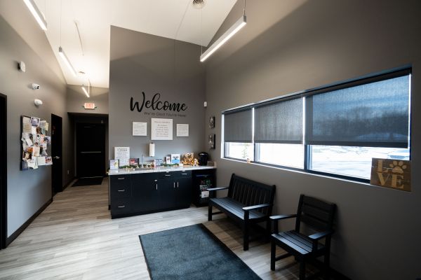 Plymouth Veterinary Clinic