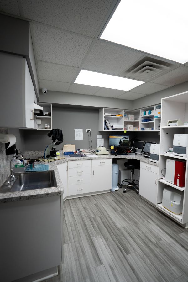 Plymouth Veterinary Clinic
