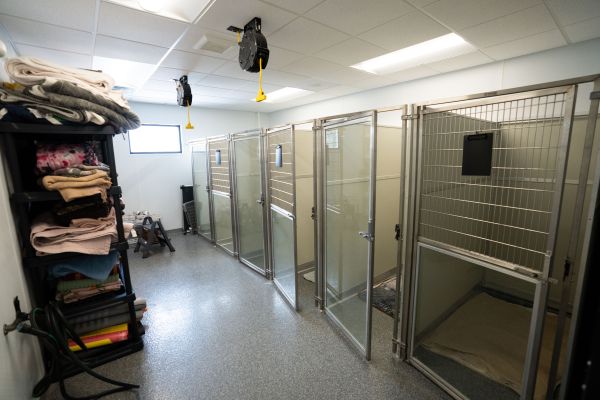 Plymouth Veterinary Clinic